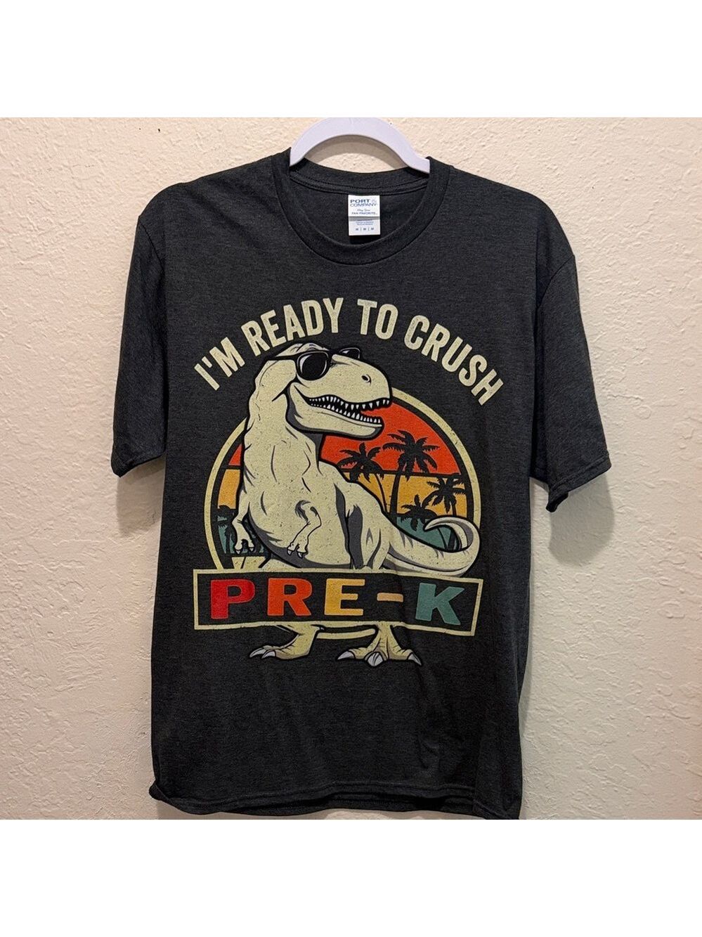 Prek teacher dinosaur shirt new never worn, no tags,